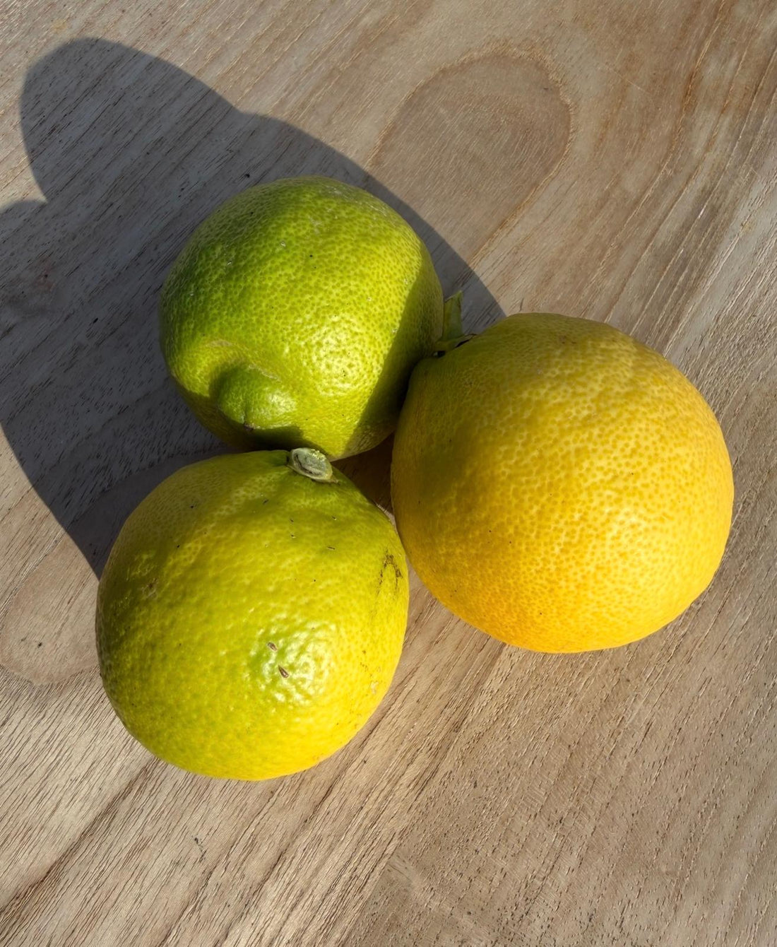 The Lemon Files: Hair's Secret Ingredient - Good & Proper